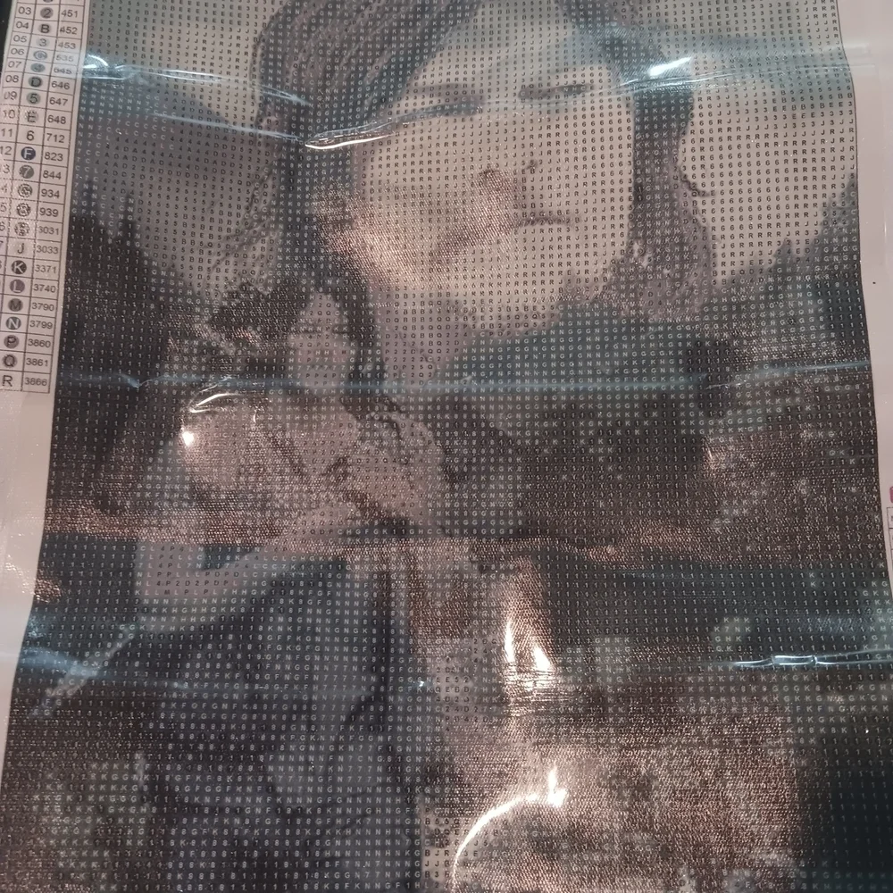 The Walking DeadbDiamond Art Painting Kit with Daryl And Dog Design 30x40